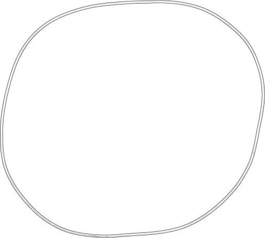 VAG 0B5323525B - Oil Seal, automatic transmission car-mod.net