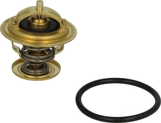 WAHLER 4253.87D - Coolant thermostat / housing car-mod.net