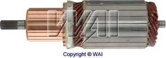 WAI 61-8207 - Armature, starter car-mod.net
