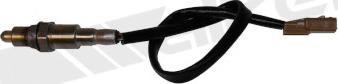 Walker Products 350-34901 - Oxygen, Lambda Sensor car-mod.net