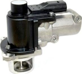 WE PARTS 330690318 - EGR Valve car-mod.net