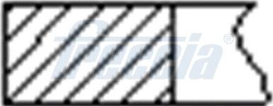 Wilmink Group WG1946031 - Piston Ring Kit car-mod.net
