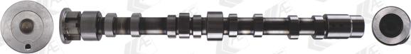 Wilmink Group WG1939155 - Camshaft car-mod.net