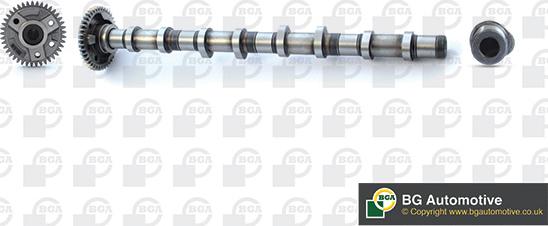 Wilmink Group WG1938305 - Camshaft car-mod.net