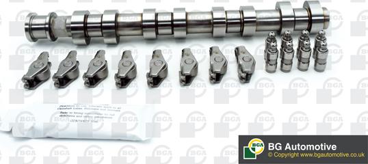 Wilmink Group WG1490411 - Camshaft Kit car-mod.net
