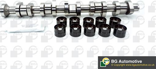Wilmink Group WG1490646 - Camshaft Kit car-mod.net