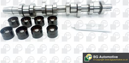 Wilmink Group WG1490640 - Camshaft Kit car-mod.net