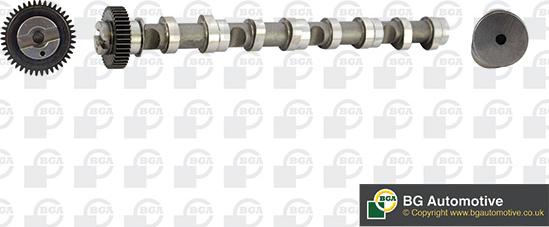 Wilmink Group WG1490639 - Camshaft car-mod.net