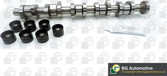 Wilmink Group WG1490638 - Camshaft Kit car-mod.net