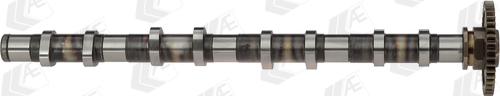Wilmink Group WG1497633 - Camshaft car-mod.net