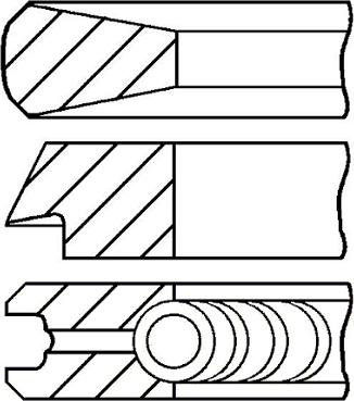 Wilmink Group WG1497389 - Piston Ring Kit car-mod.net