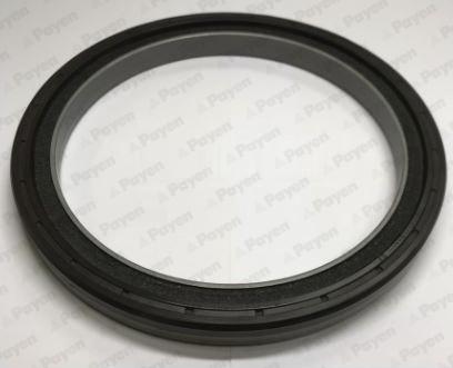 Wilmink Group WG1497743 - Shaft Seal, crankshaft car-mod.net