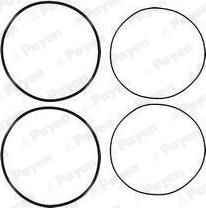 Wilmink Group WG1460714 - O-Ring Set, cylinder sleeve car-mod.net