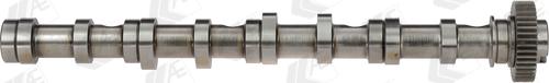 Wilmink Group WG1462592 - Camshaft car-mod.net