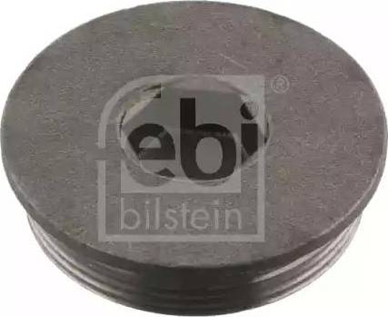 Wilmink Group WG1433795 - Screw Plug, crankcase car-mod.net