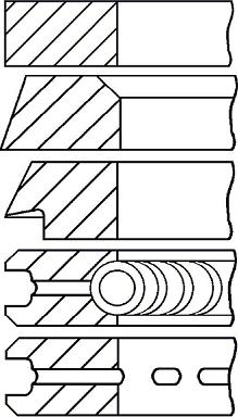 Wilmink Group WG1096561 - Piston Ring Kit car-mod.net