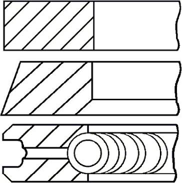 Wilmink Group WG1096258 - Piston Ring Kit car-mod.net