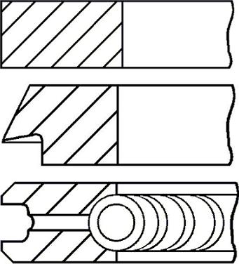 Wilmink Group WG1186836 - Piston Ring Kit car-mod.net
