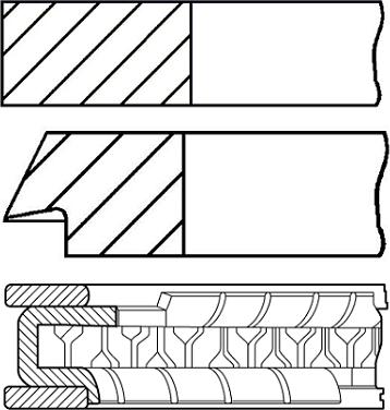 Wilmink Group WG1186642 - Piston Ring Kit car-mod.net