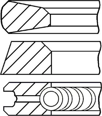 Wilmink Group WG1096264 - Piston Ring Kit car-mod.net