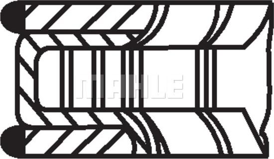 Wilmink Group WG1897491 - Piston Ring Kit car-mod.net