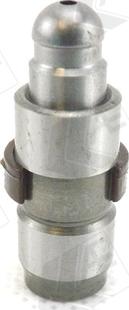 Wilmink Group WG1093083 - Tappet / Rocker car-mod.net