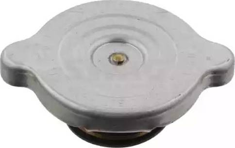 Wilmink Group WG1054307 - Sealing Cap, coolant tank car-mod.net