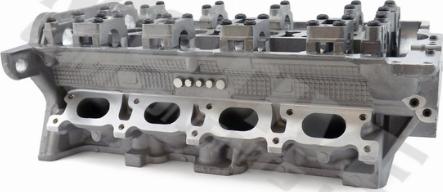 Wilmink Group WG1100199 - Cylinder Head car-mod.net