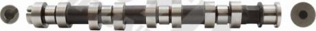 Wilmink Group WG1100172 - Camshaft car-mod.net