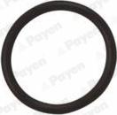 Wilmink Group WG1183107 - Seal Ring, oil drain plug car-mod.net