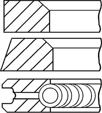 Wilmink Group WG1187413 - Piston Ring Kit car-mod.net
