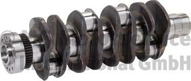Wilmink Group WG1815079 - Crankshaft car-mod.net