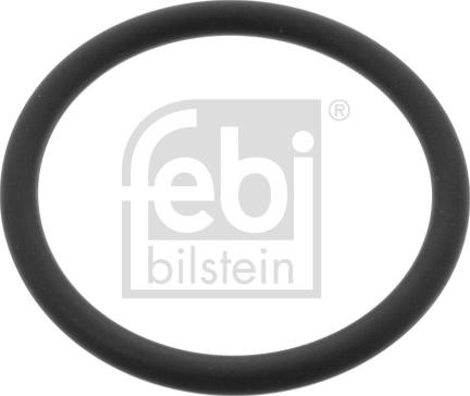 Wilmink Group WG1836107 - Seal Ring, coolant tube car-mod.net