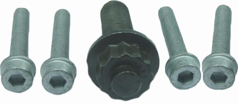 Wilmink Group WG1233970 - Bolt Set, crankshaft pulley car-mod.net