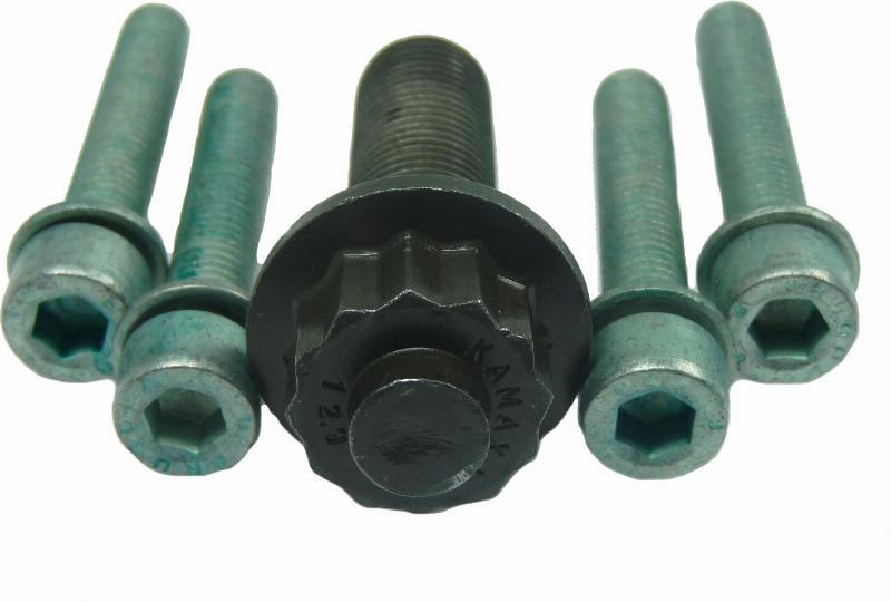 Wilmink Group WG1233973 - Bolt Set, crankshaft pulley car-mod.net