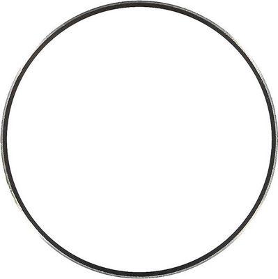 Wilmink Group WG1741540 - Ring Gear, crankshaft car-mod.net