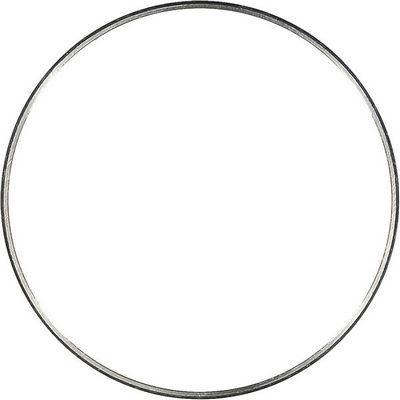 Wilmink Group WG1741539 - Ring Gear, crankshaft car-mod.net