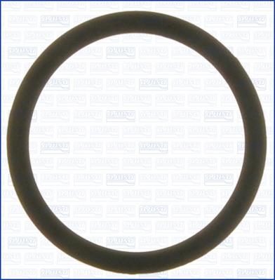 Wilmink Group WG1751095 - Gasket, thermostat car-mod.net