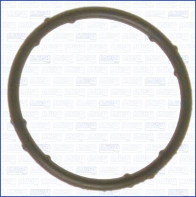 Wilmink Group WG1751295 - Gasket, coolant flange car-mod.net