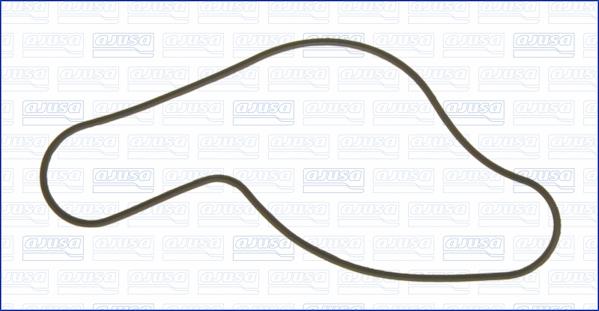 Wilmink Group WG1751209 - Gasket, water pump car-mod.net