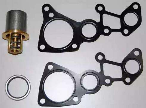 Wilmink Group WG1700054 - Thermostat, oil cooling car-mod.net