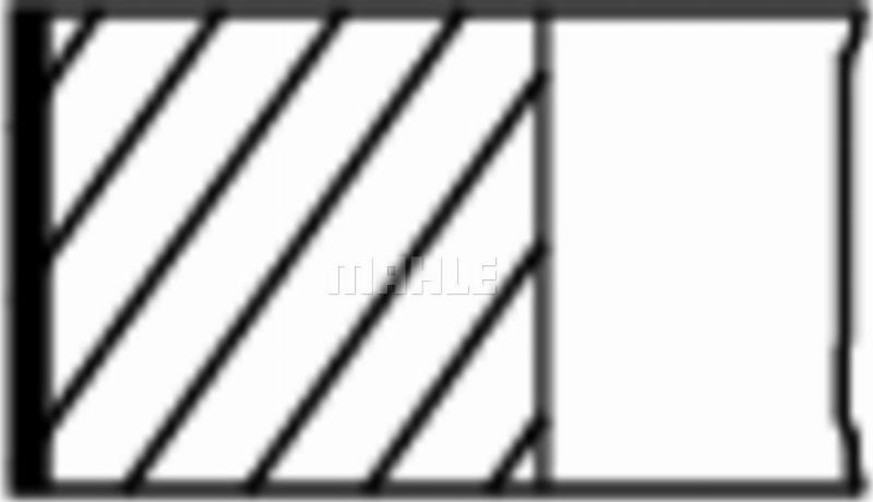 Wilmink Group WG2578561 - Piston Ring Kit car-mod.net