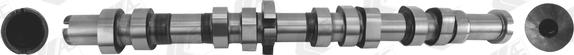 Wilmink Group WG2046449 - Camshaft car-mod.net