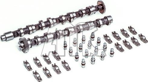 Wilmink Group WG2047301 - Camshaft Kit car-mod.net