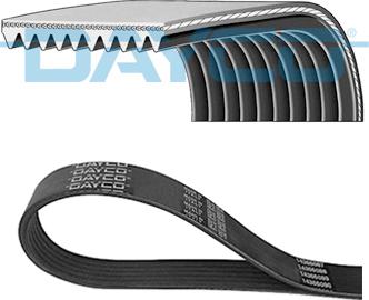 Wilmink Group WG2001375 - V-Ribbed Belt car-mod.net