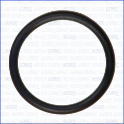 Wilmink Group WG2081016 - Seal Ring car-mod.net