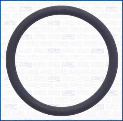 Wilmink Group WG2081396 - Seal Ring car-mod.net