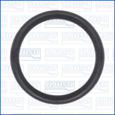 Wilmink Group WG2081706 - Seal Ring car-mod.net