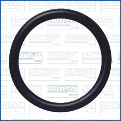 Wilmink Group WG2081727 - Seal Ring car-mod.net