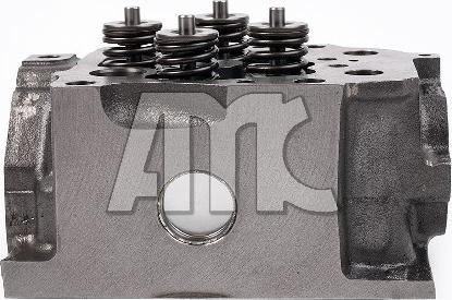 Wilmink Group WG2191674 - Cylinder Head car-mod.net